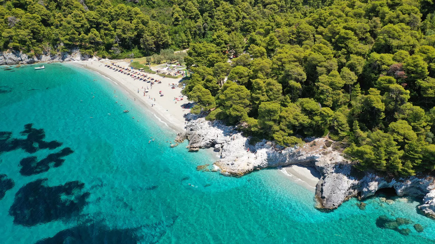 Άρθρο 1