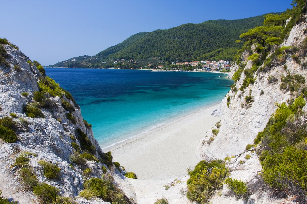 Άρθρο 1